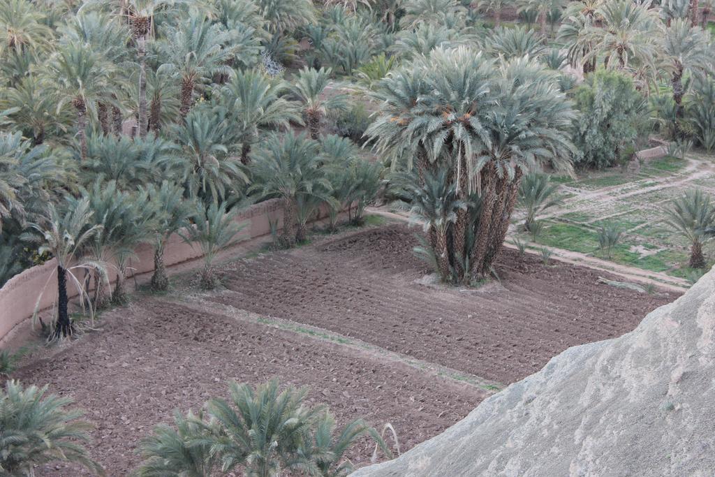 Kasbah Itrane Tamnougalt Exterior foto